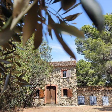 Mazet Du Chateau Joyeux De Violet Pépieux المظهر الخارجي الصورة