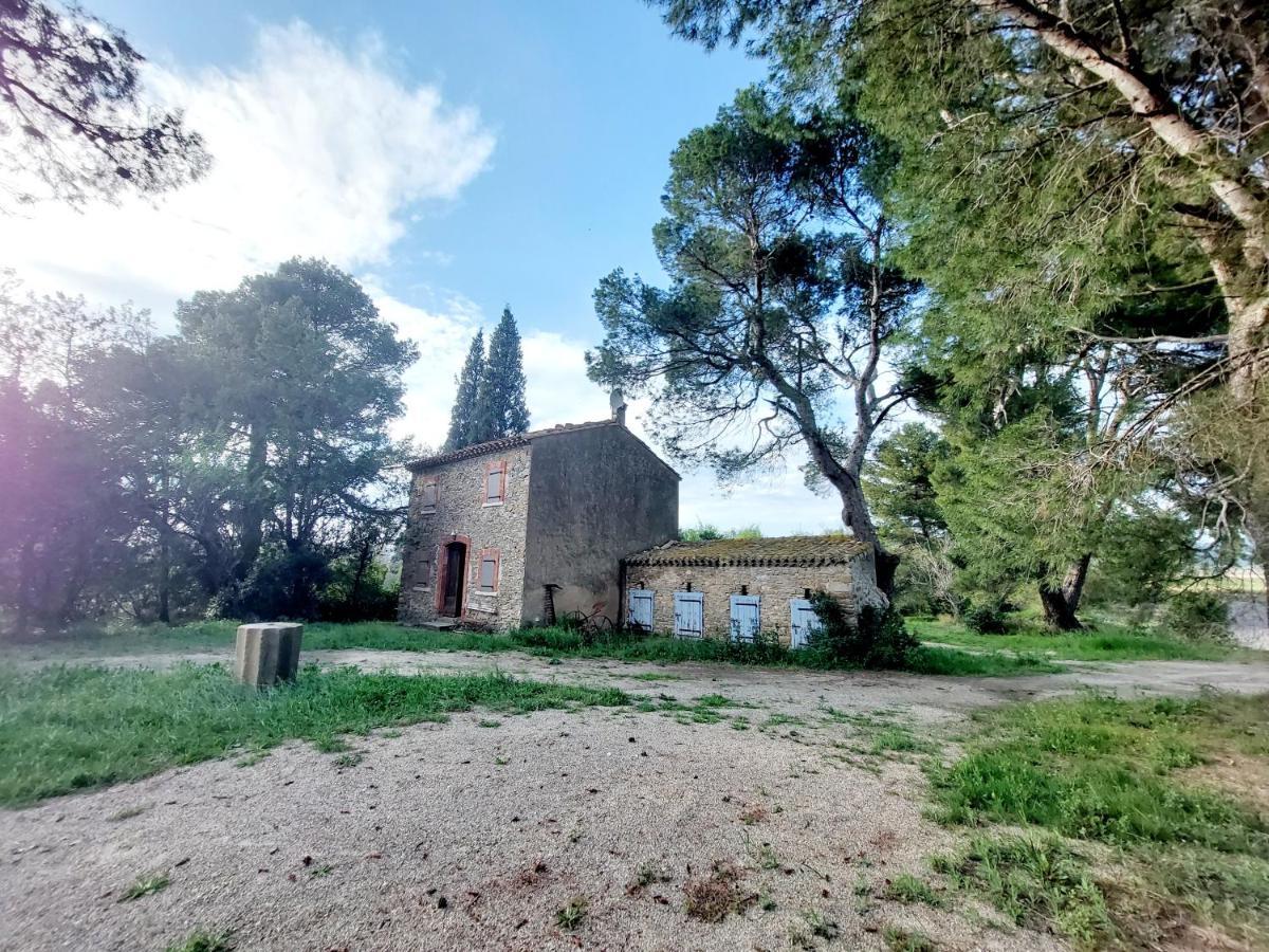 Mazet Du Chateau Joyeux De Violet Pépieux المظهر الخارجي الصورة