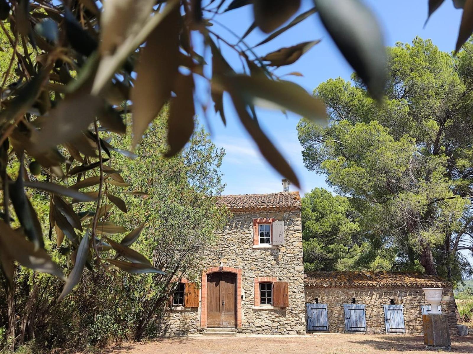 Mazet Du Chateau Joyeux De Violet Pépieux المظهر الخارجي الصورة
